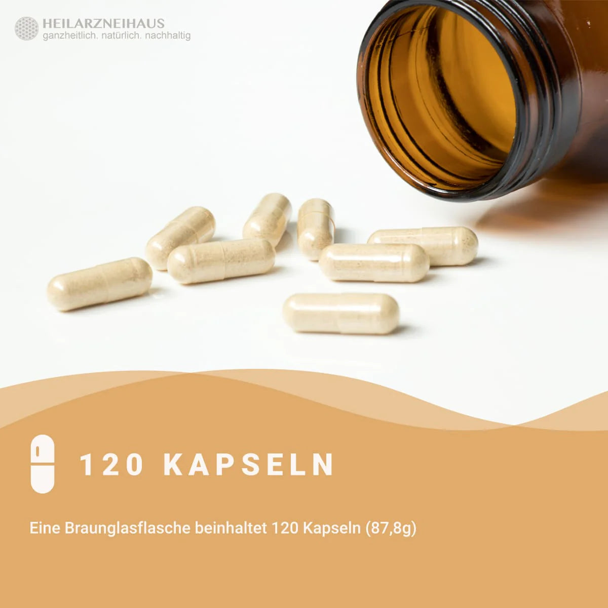 Boswellia Serrata Weihrauch Kapseln: Wildsammlung