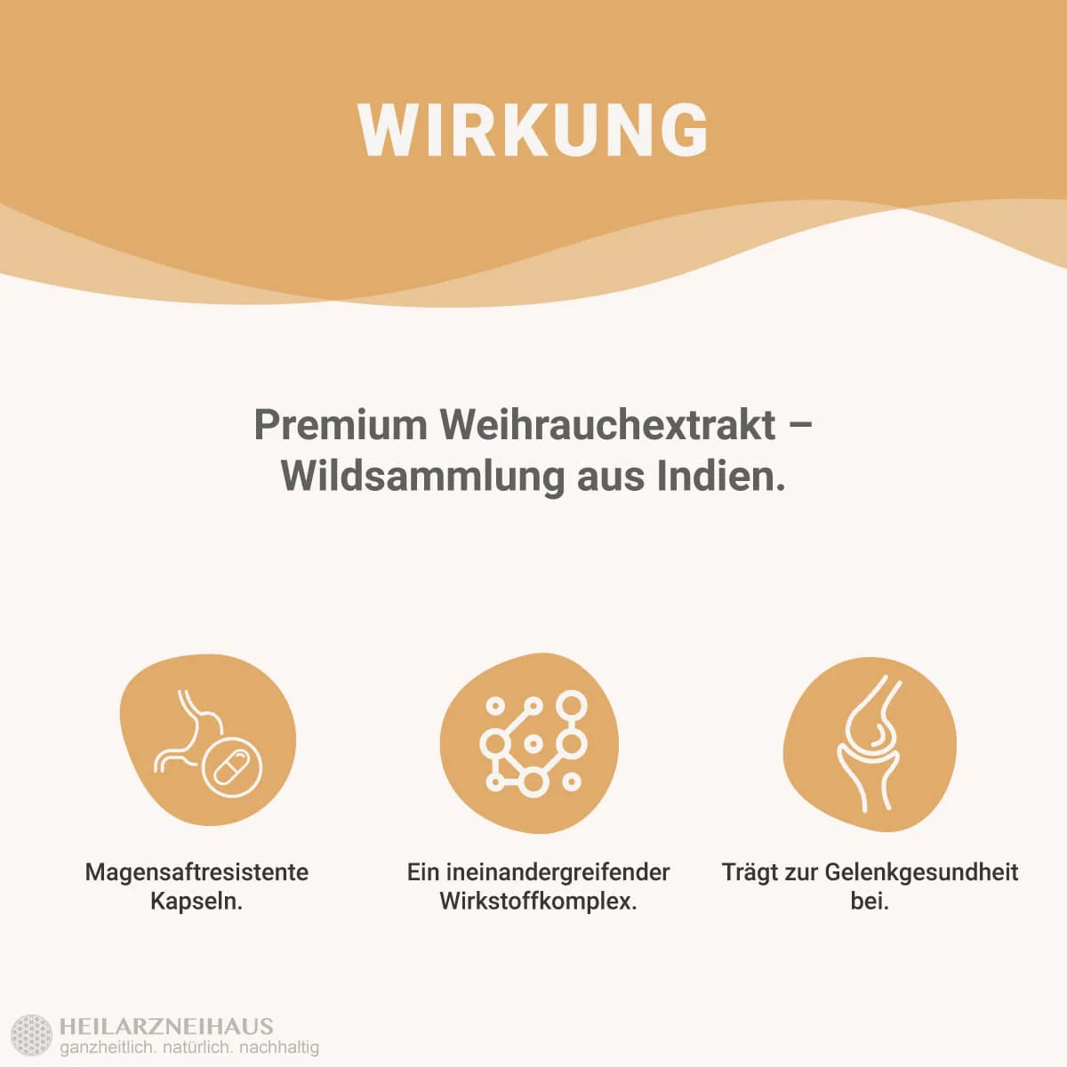 Boswellia Serrata Weihrauch Kapseln: Wildsammlung