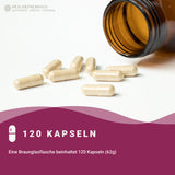 OPC Traubenkernextrakt + Vitamin C Kapseln: Pinienrindenextrakt