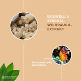 Boswellia Serrata Weihrauch Kapseln: Wildsammlung