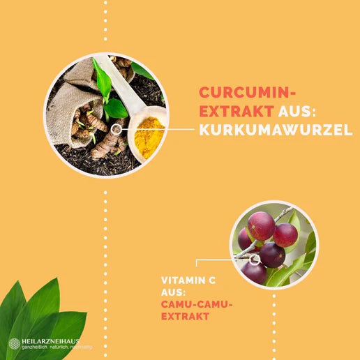 Curcumin + Vitamin C Kapseln: Camu Camu + Kurkuma